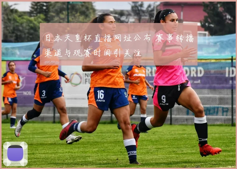 日本天皇杯直播网址公布 赛事转播渠道与观赛时间引关注