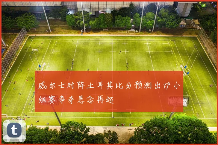 威尔士对阵土耳其比分预测出炉小组赛争夺悬念再起