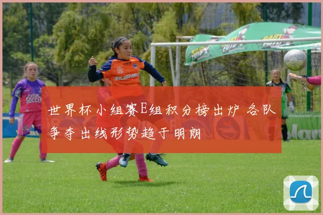 世界杯小组赛E组积分榜出炉 各队争夺出线形势趋于明朗