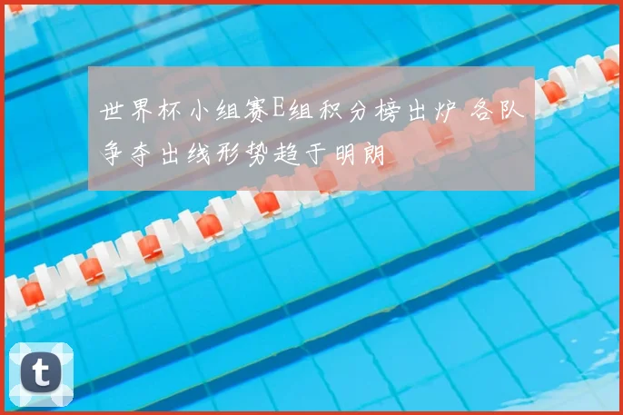 世界杯小组赛E组积分榜出炉 各队争夺出线形势趋于明朗