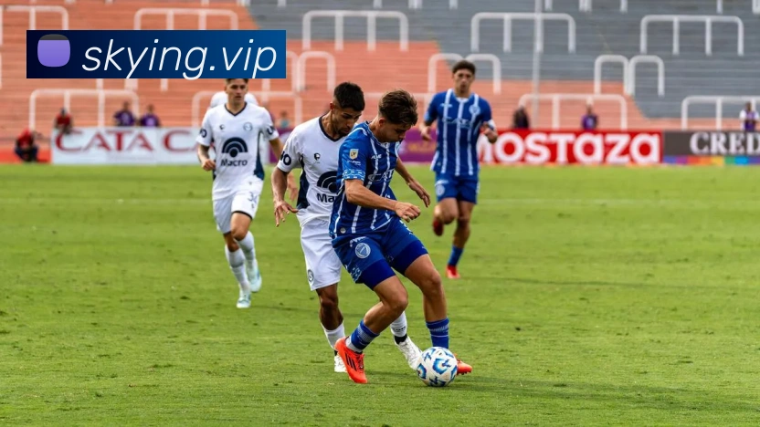 世界杯中国官网品牌故事